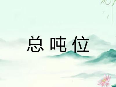 总吨位