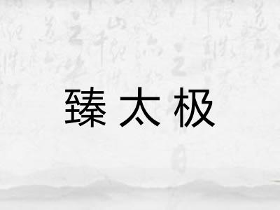 臻太极
