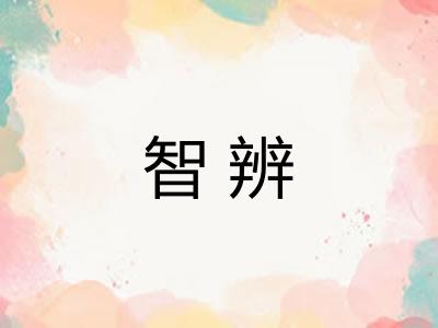 智辨