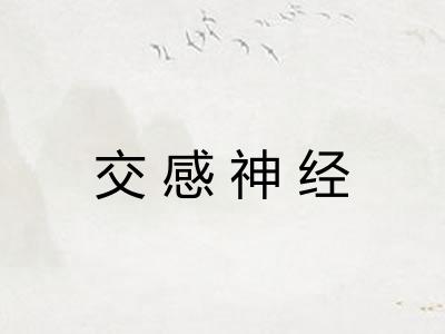 交感神经