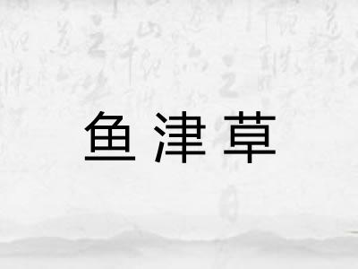 鱼津草