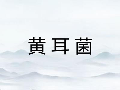 黄耳菌