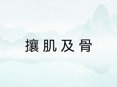 攘肌及骨