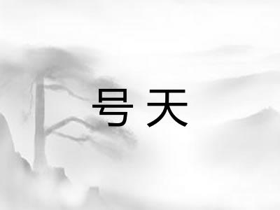 号天
