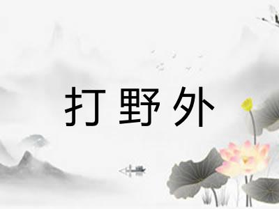 打野外