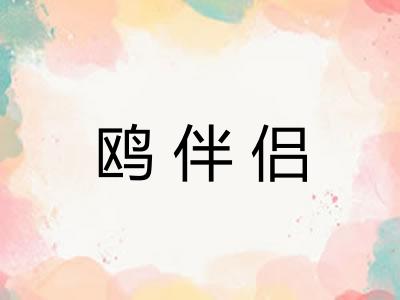 鸥伴侣