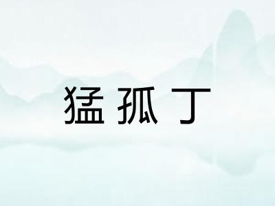 猛孤丁