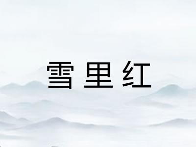 雪里红