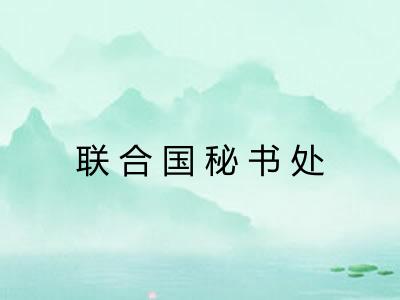 联合国秘书处