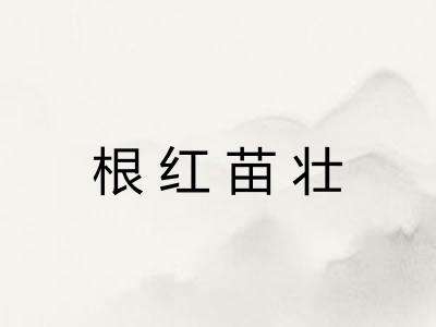 根红苗壮