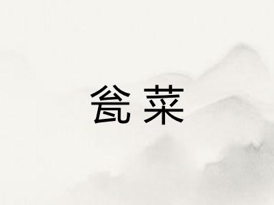 瓮菜