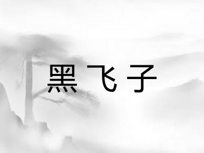 黑飞子