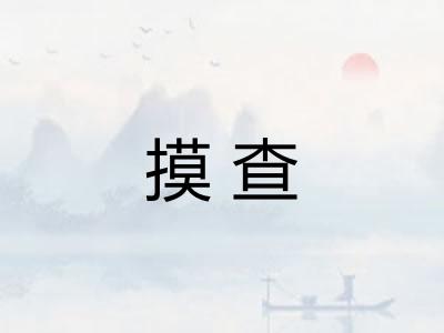 摸查