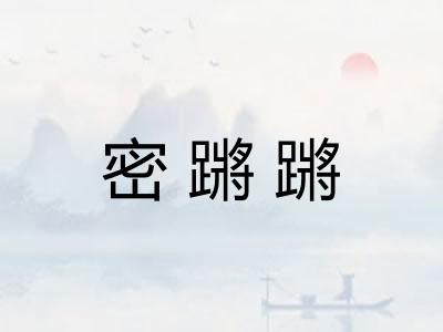 密蹡蹡