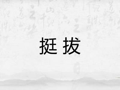 挺拔