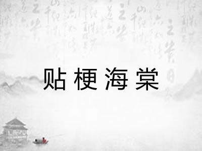 贴梗海棠