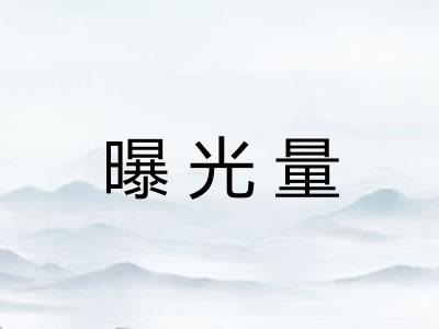 曝光量