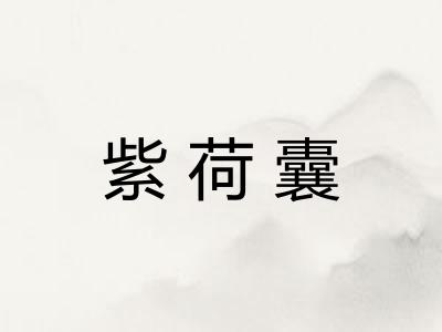 紫荷囊