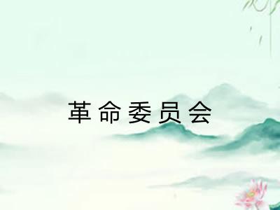 革命委员会