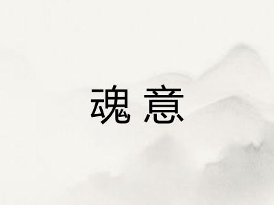 魂意