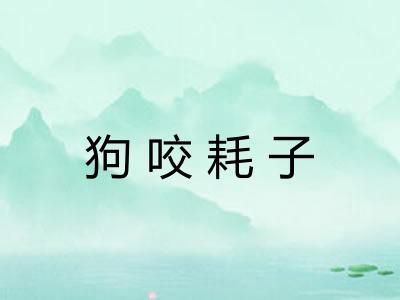 狗咬耗子