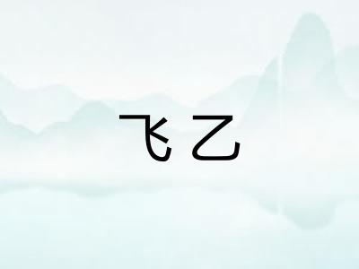飞乙