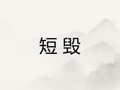 短毁