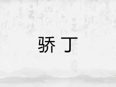 骄丁