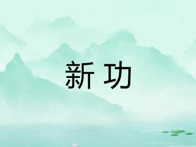 新功