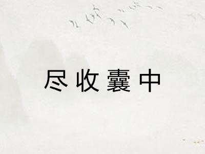 尽收囊中