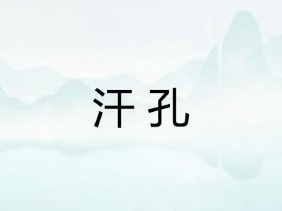 汗孔