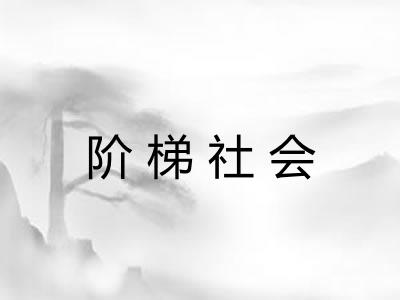 阶梯社会
