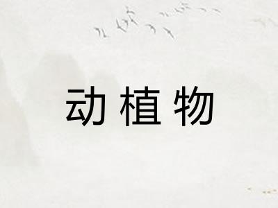 动植物