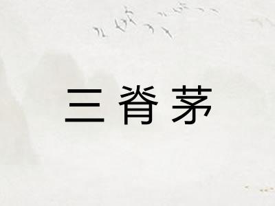 三脊茅