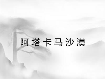 阿塔卡马沙漠