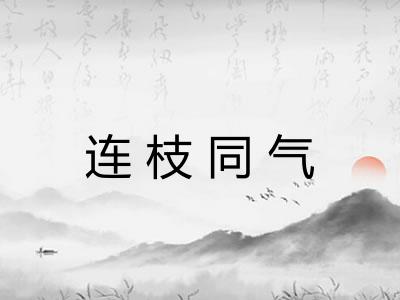 连枝同气