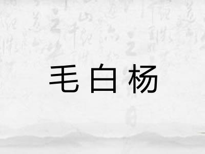 毛白杨
