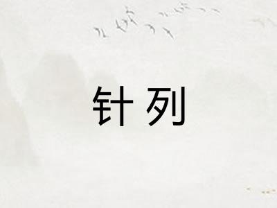 针列