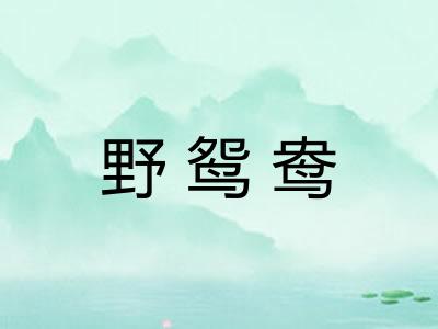 野鸳鸯