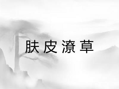 肤皮潦草
