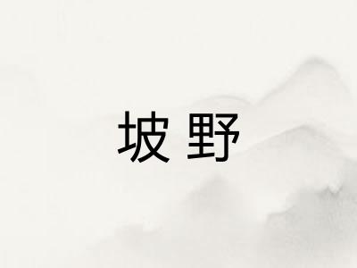 坡野