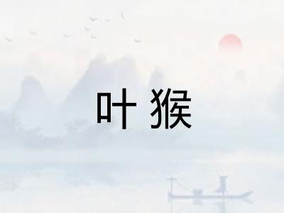 叶猴
