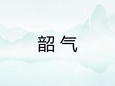 韶气