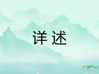 详述