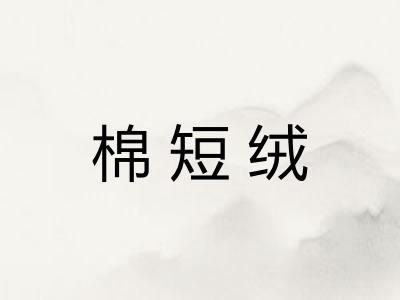 棉短绒