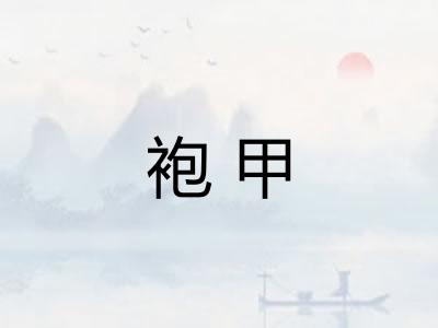 袍甲