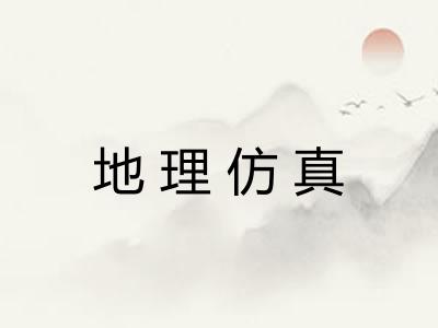 地理仿真