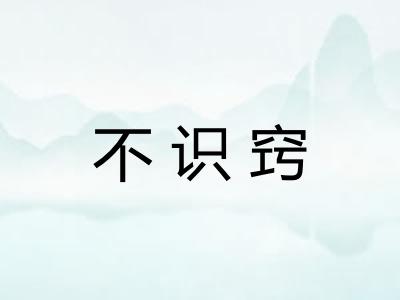 不识窍