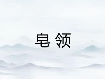 皂领