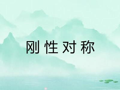 刚性对称